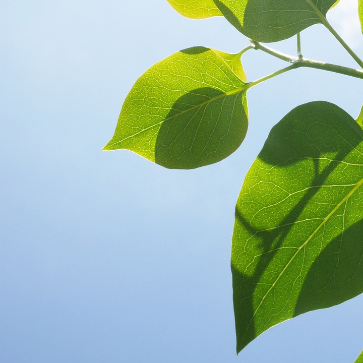 ai abstract blue green